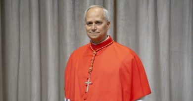 Habemus Papam: Leão XIV Habemus Papam: Leão XIV
