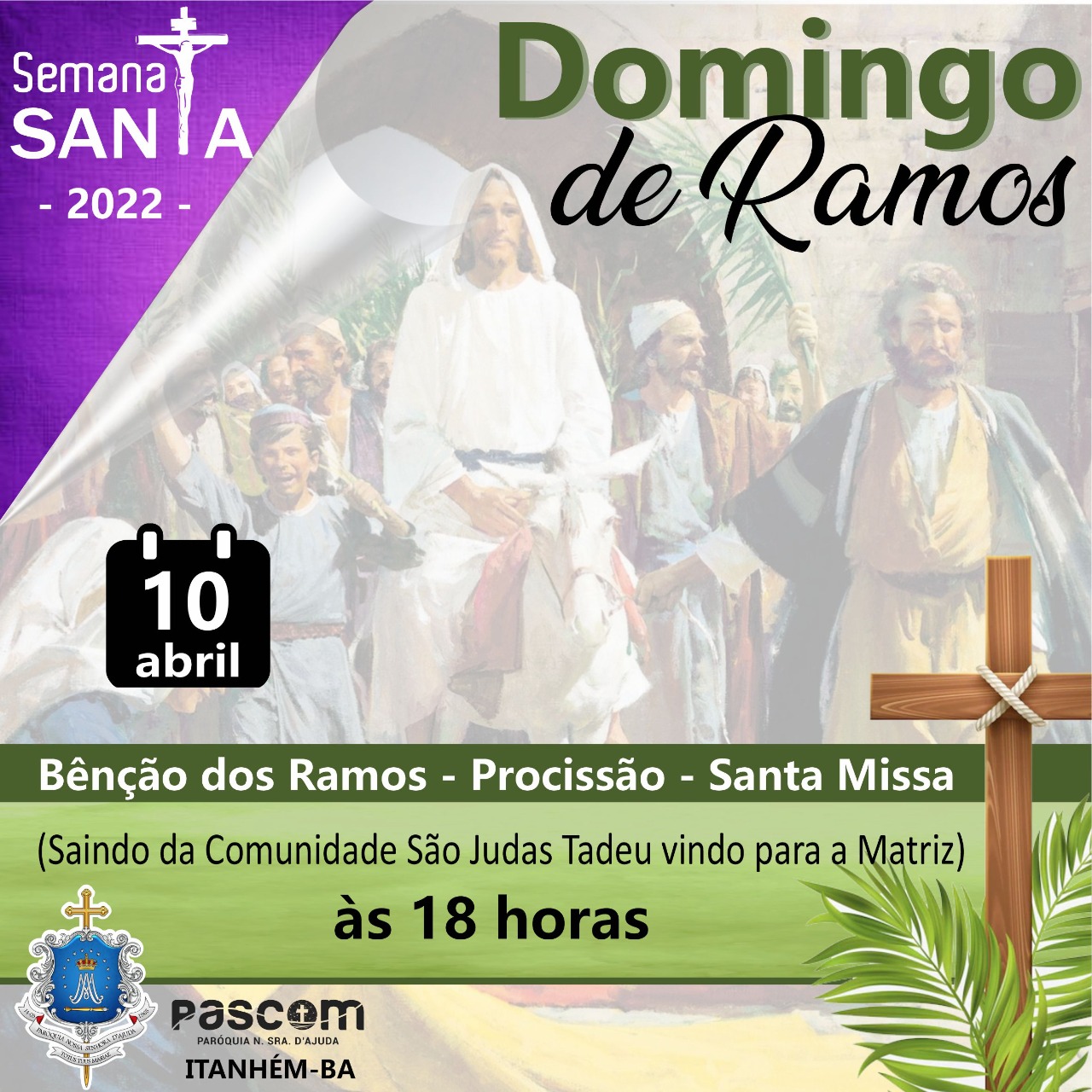 Semana Maior: Santa Missa do Domingo de Ramos